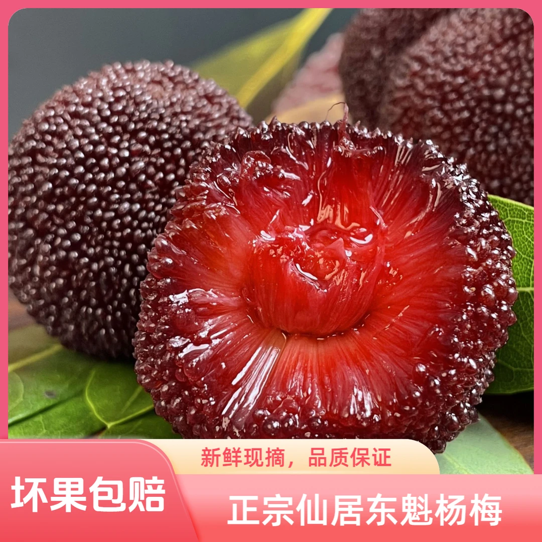 【8A】【仙居杨梅】新鲜应季水果正宗仙居东魁杨梅鲜果现摘现发