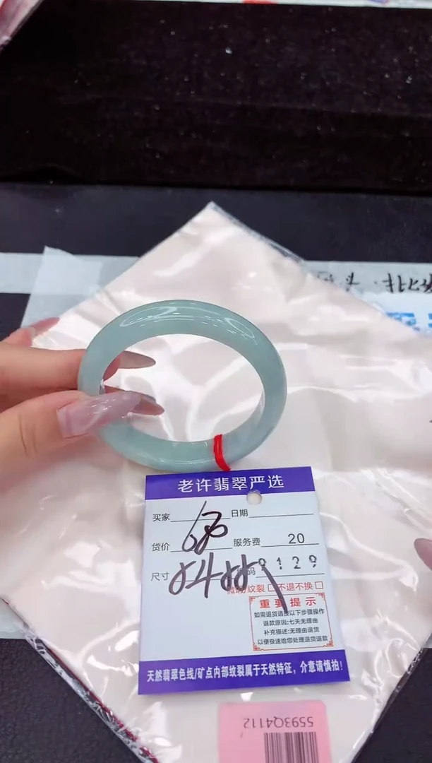 未镶嵌手镯翡翠1