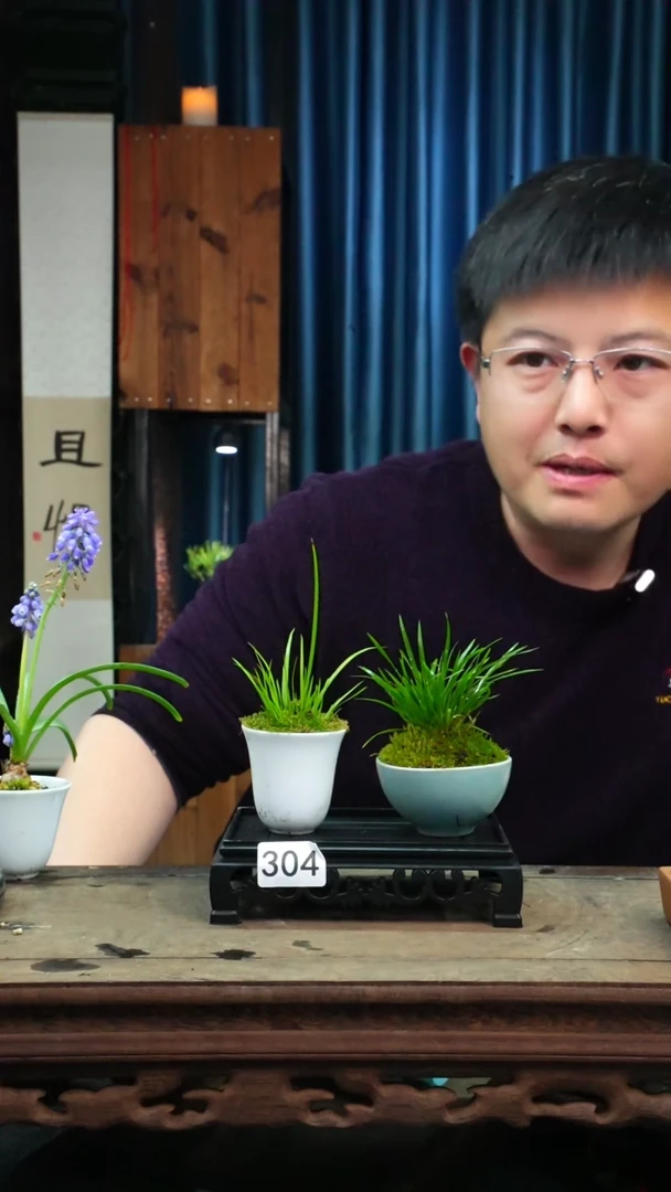【闪购商品】苔藓微景观304号