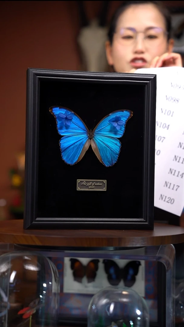 实**望N094       大蓝闪