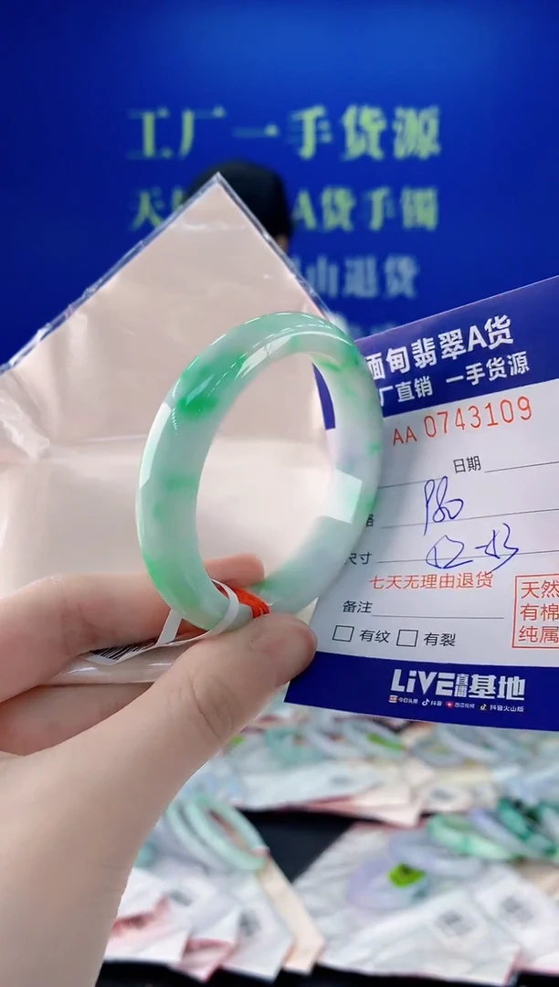 未镶嵌手镯翡翠09