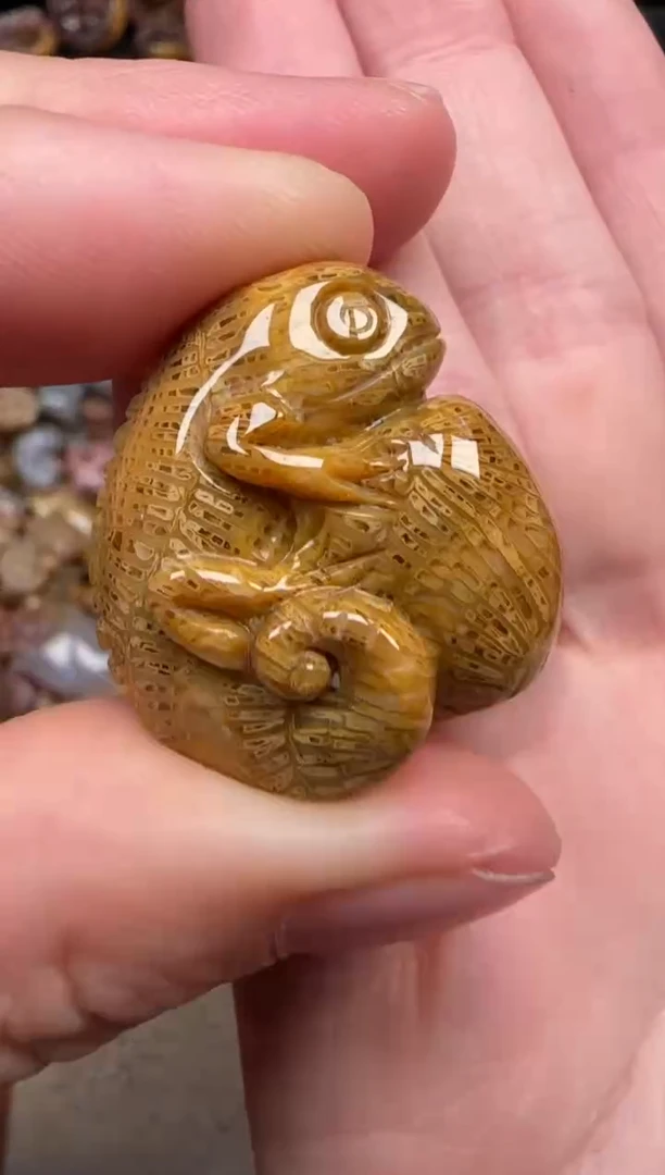 颈饰未镶嵌硅化珊瑚（珊瑚玉）160