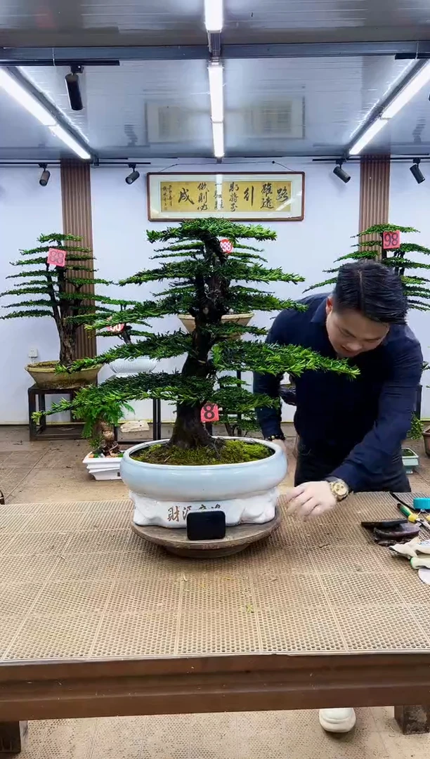 无花朵00000000000