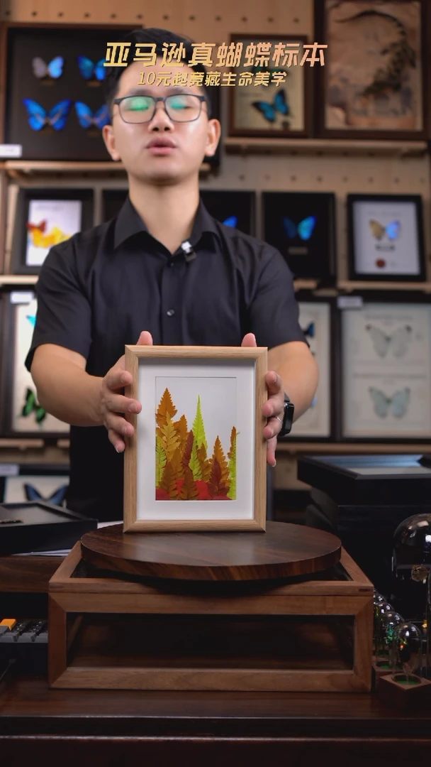 植物干花压制标本秋