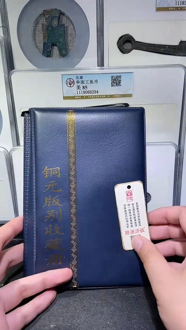 铜历代 铜元版别收藏册