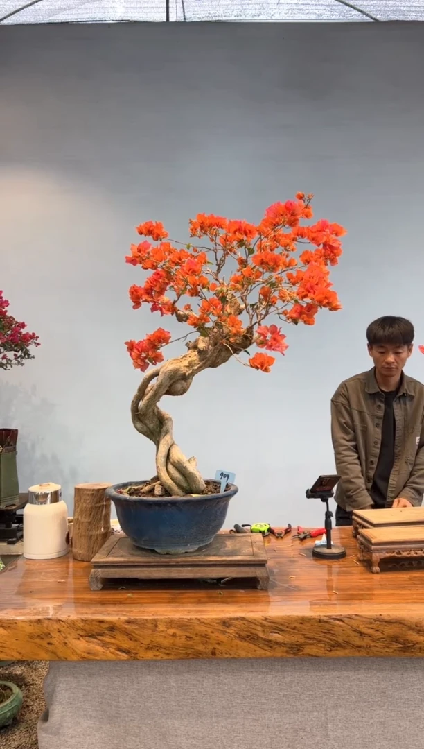 【闪购商品】aa909