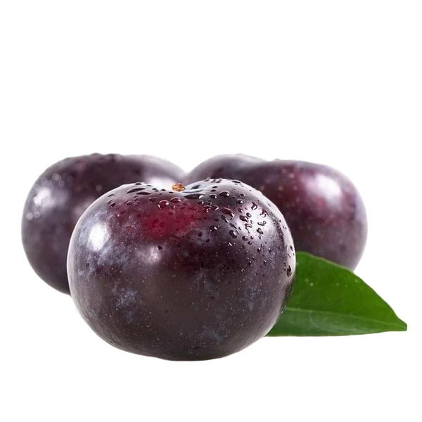 无品牌黑李子500g上海市