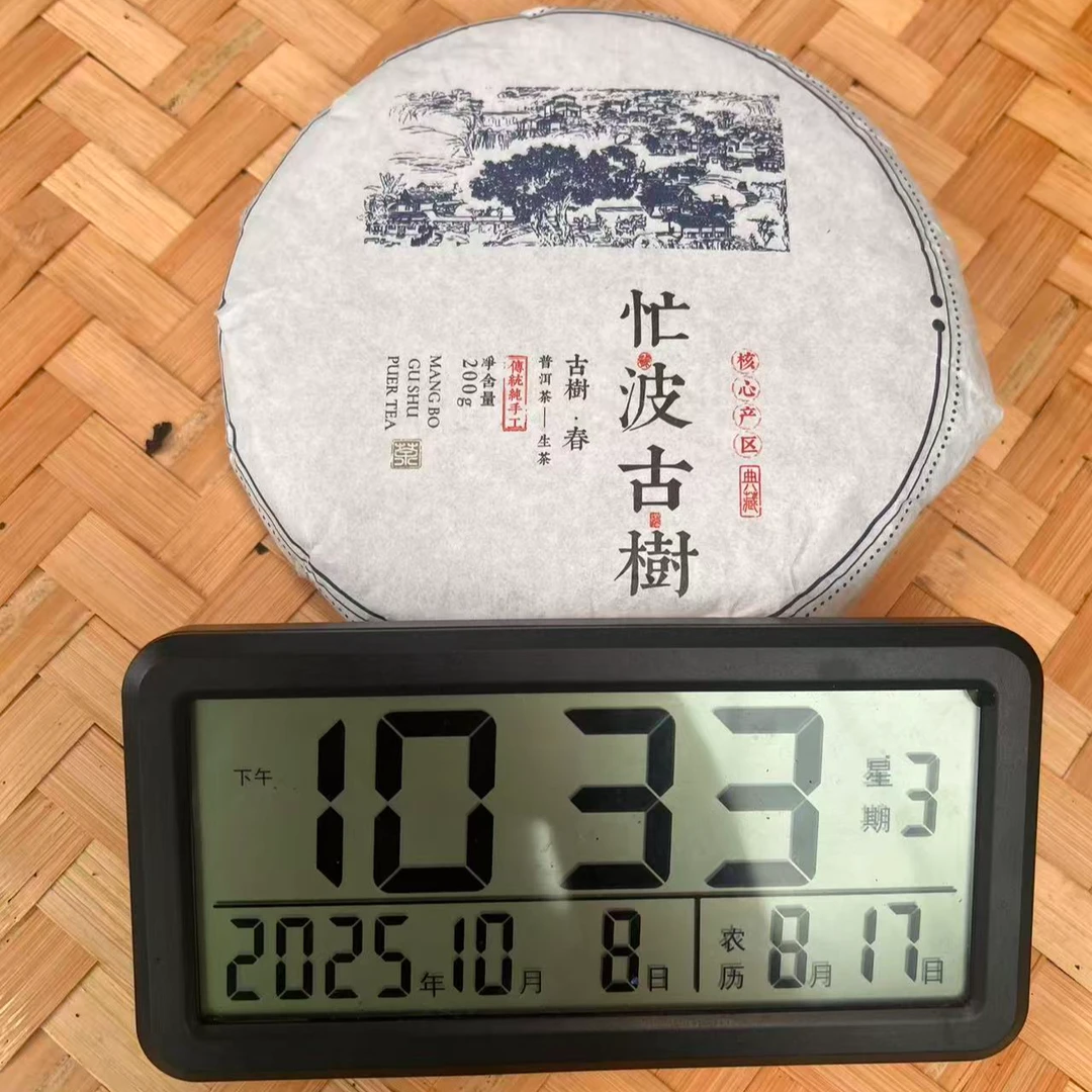 古树挑采 临沧忙波古树 2023年 200g 普洱生茶饼茶 07-10月8日