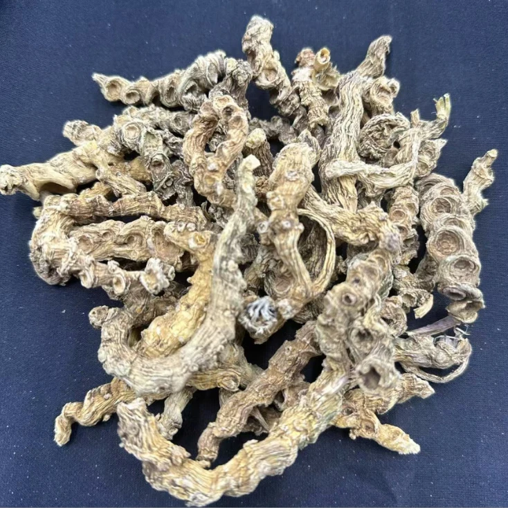 【青玄推荐】峨眉山-天王参（内含试用装）