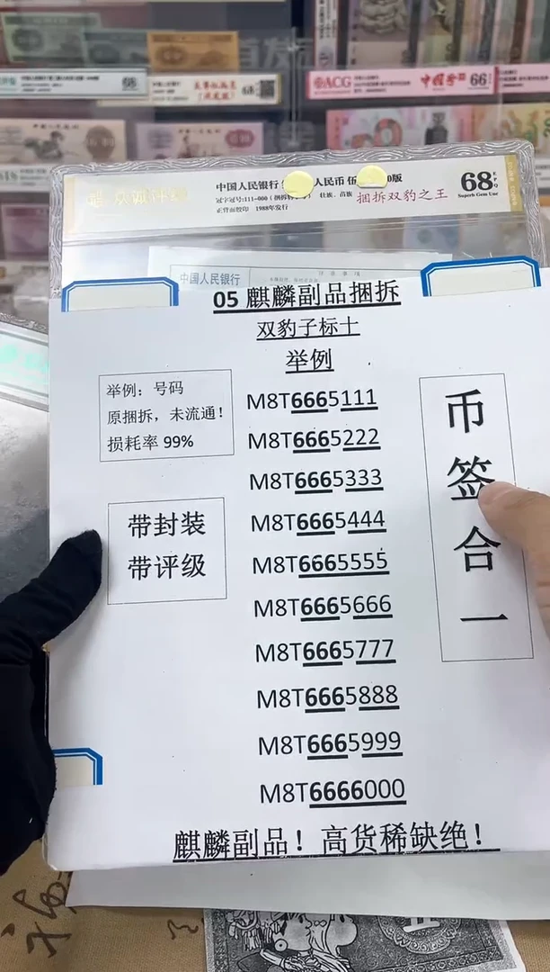 双豹子【捆拆双豹之王】