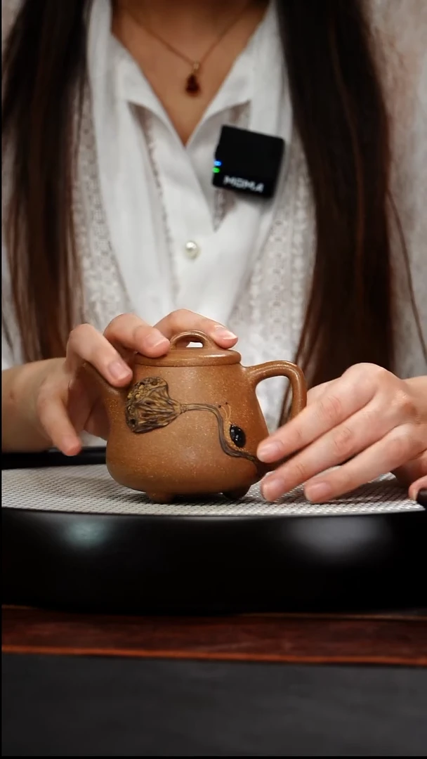 茶壶紫砂宜兴原矿紫砂9