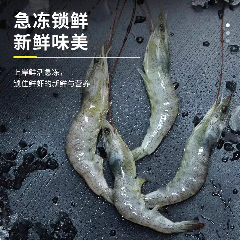 4大斤新鲜盐田虾活冷冻壳薄柔嫩一斤在90只左右 顺丰冷链