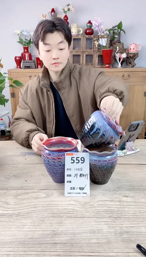 晴好园艺直播编号559