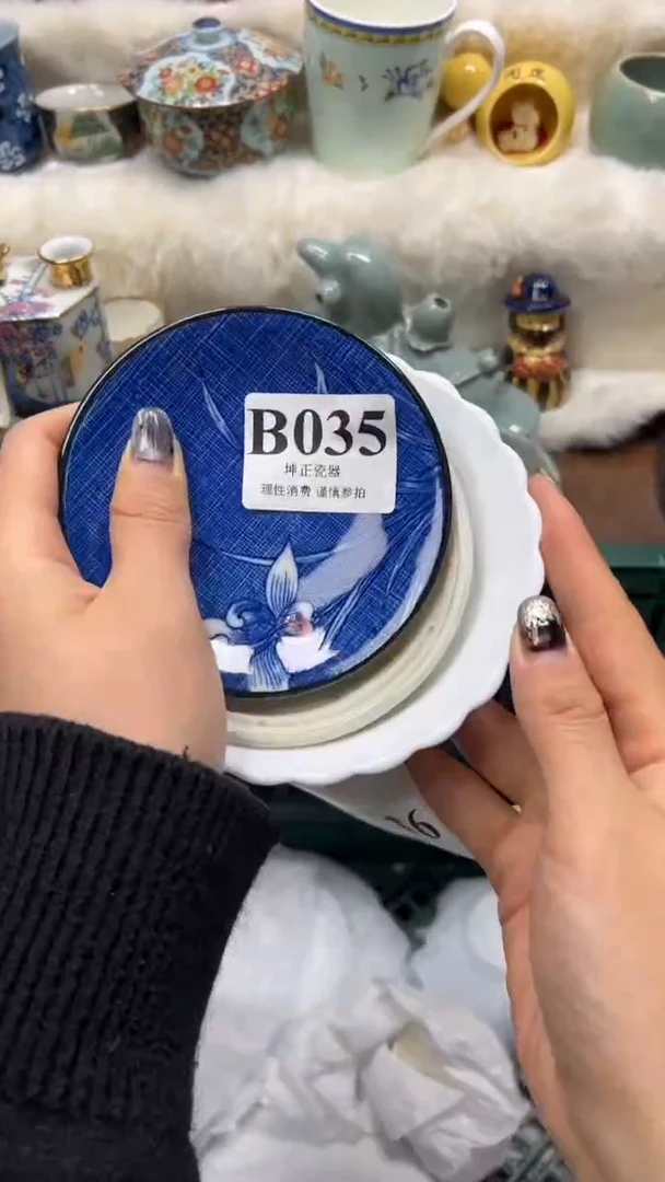 【闪购商品】瓷片          B035