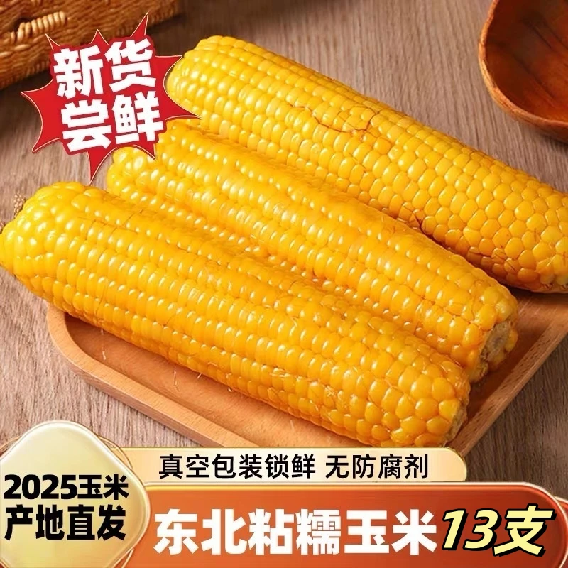 【头茬大棒8斤 13根】2025正宗东北头茬黄糯玉米软糯香甜（试吃2根）