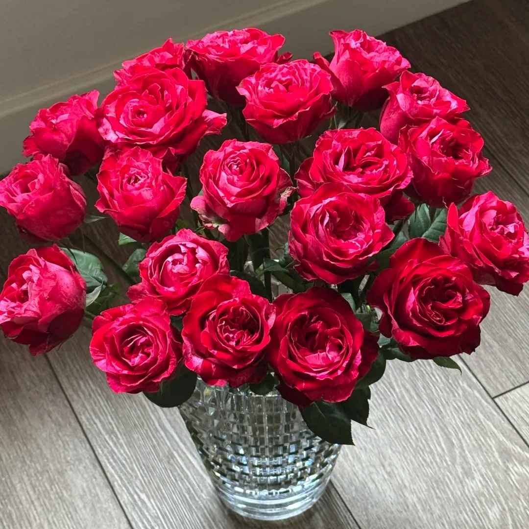 【红绸裙】不包邮一个运费任意拍云南鲜花直发