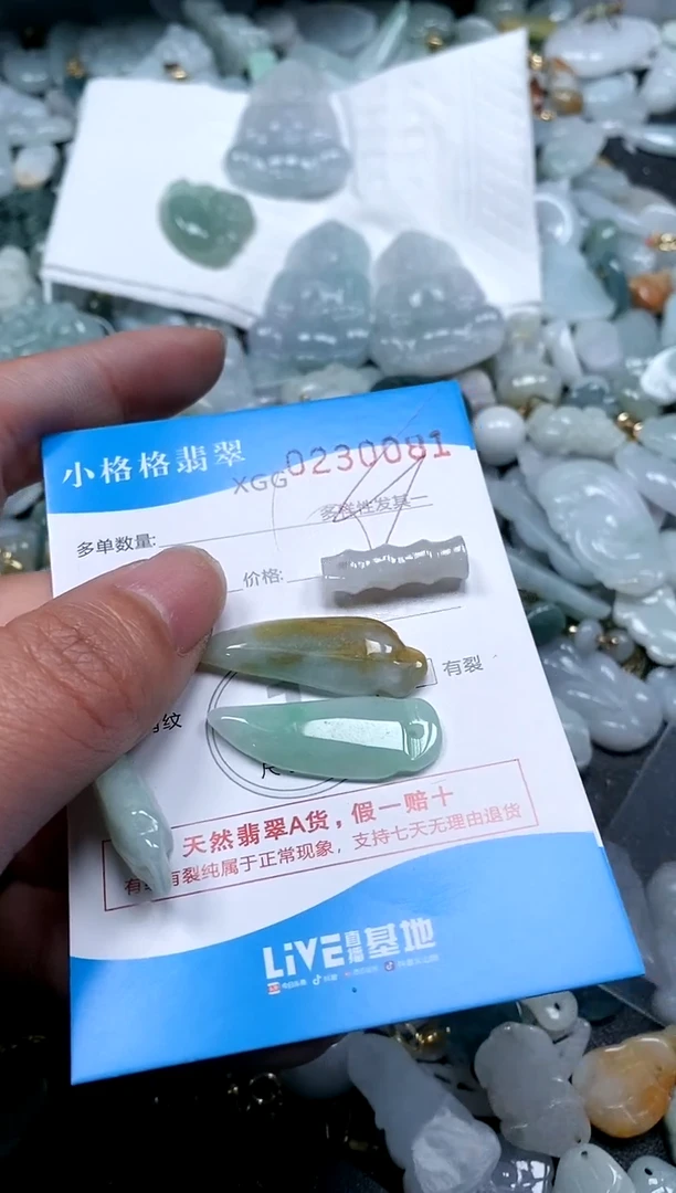 【闪购商品】翡翠颈饰未镶嵌闪购商品0230081