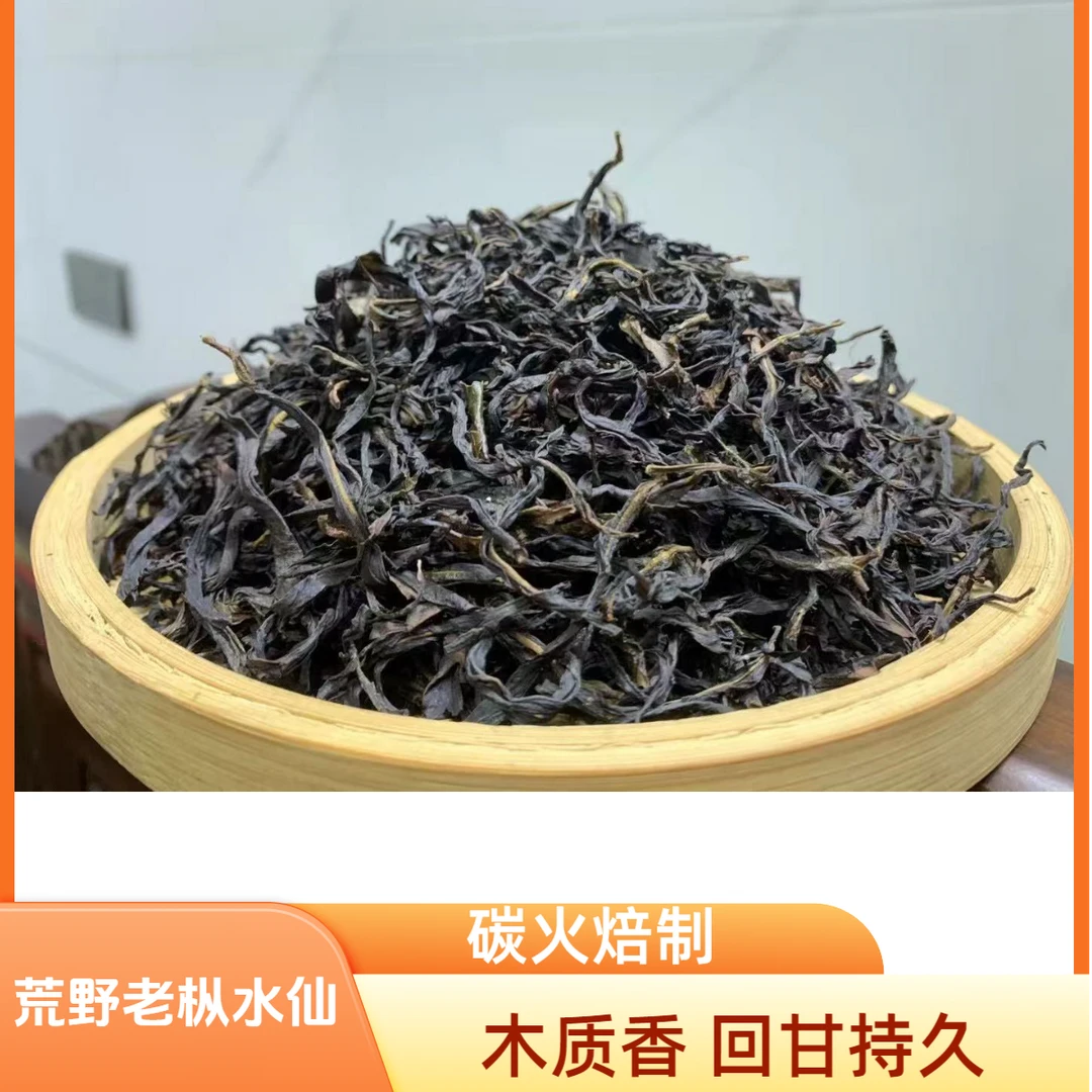 2025正春荒野老枞水仙