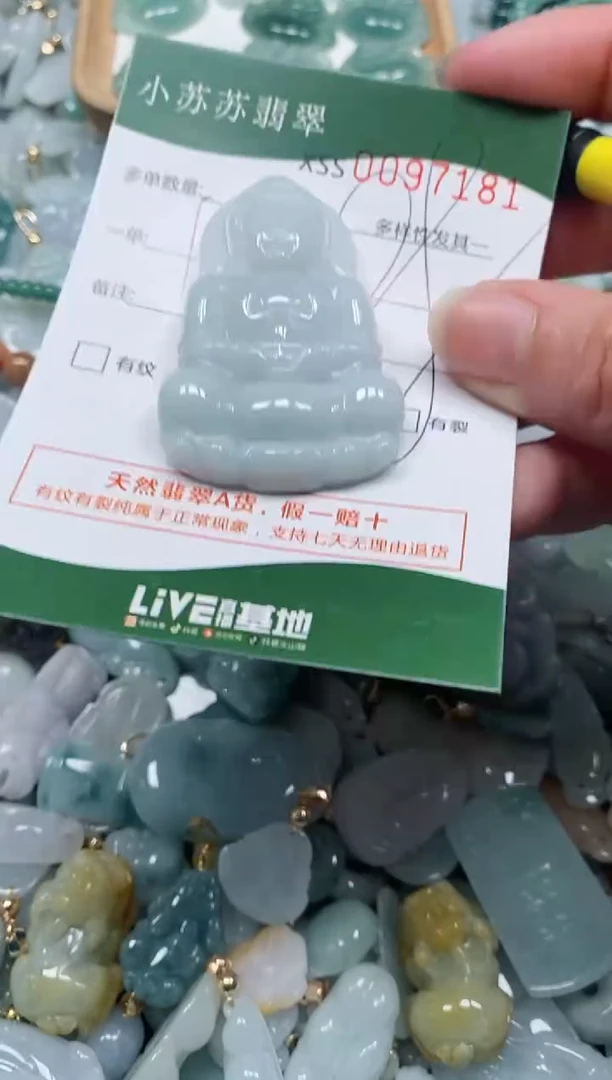 【闪购商品】翡翠颈饰未镶嵌闪购商品0097181