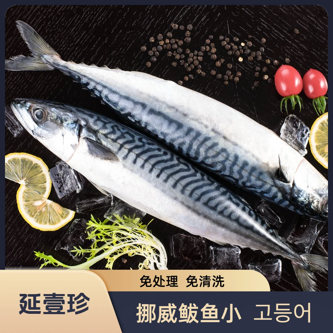 【鲅鱼小】300-400克新鲜挪威青花鱼生鲜海鱼进口深海鱼