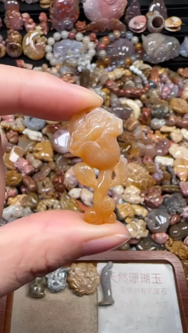 颈饰未镶嵌硅化珊瑚（珊瑚玉）683