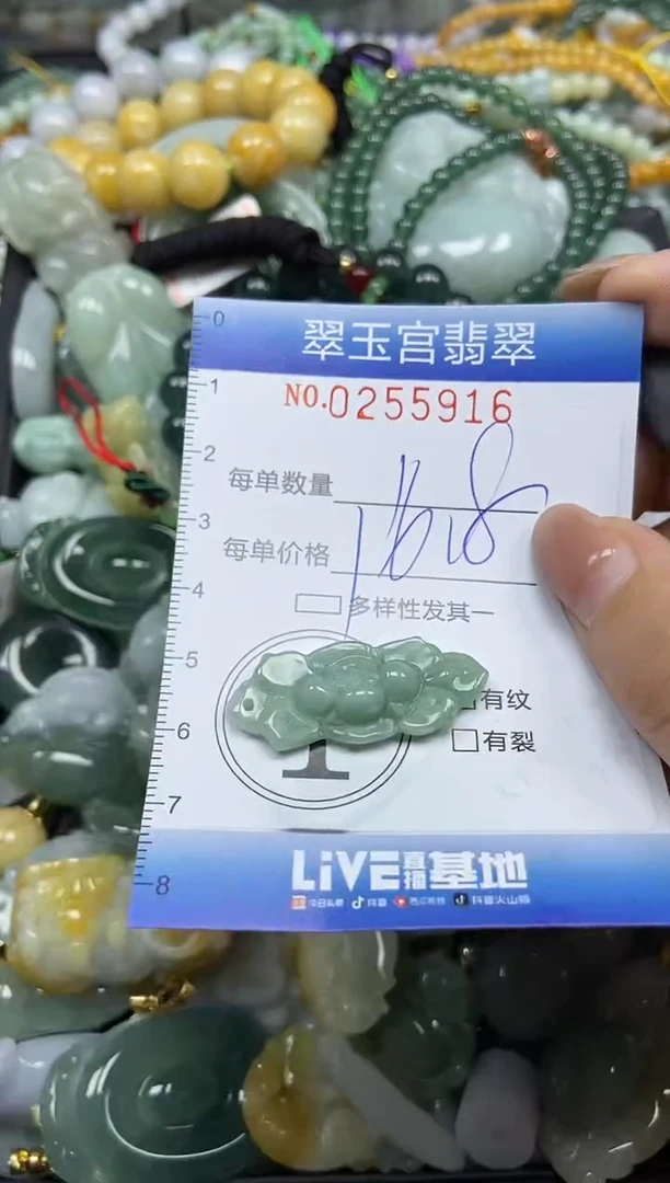 颈饰未镶嵌翡翠闪购C0255916