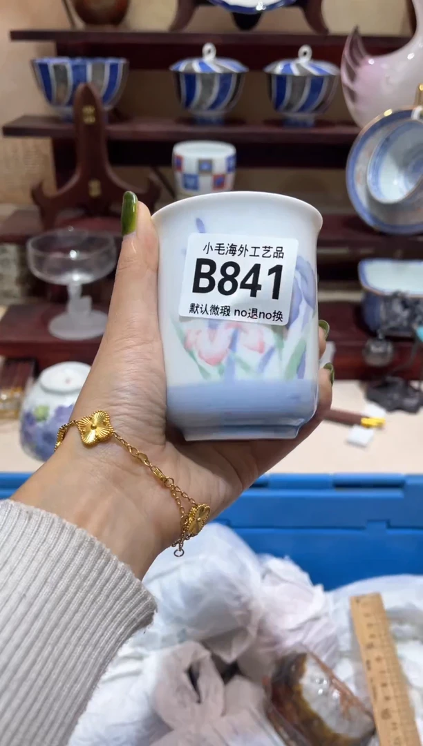 瓷片艾*娅           B841
