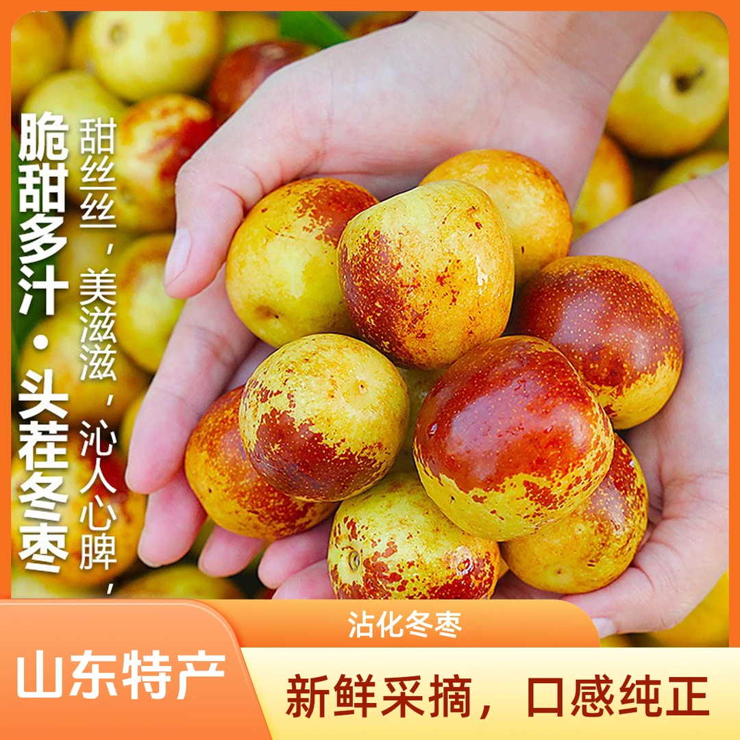【沾化冬枣】现摘现发脆甜产地直发自然成熟应季水果整箱批发