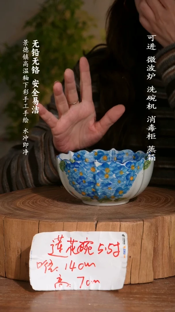 碗陶瓷景德镇高温瓷釉下彩手绘陶瓷