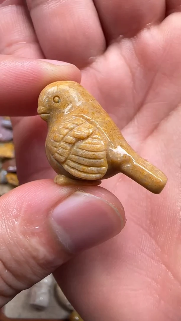 【闪购商品】硅化珊瑚（珊瑚玉）颈饰未镶嵌543