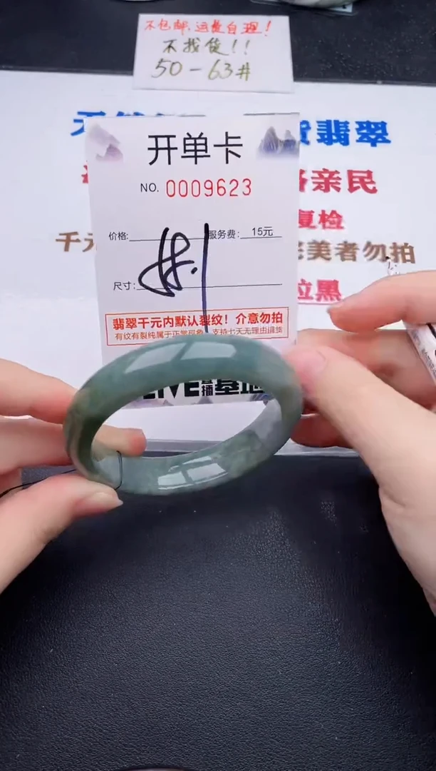 未镶嵌手镯翡翠23