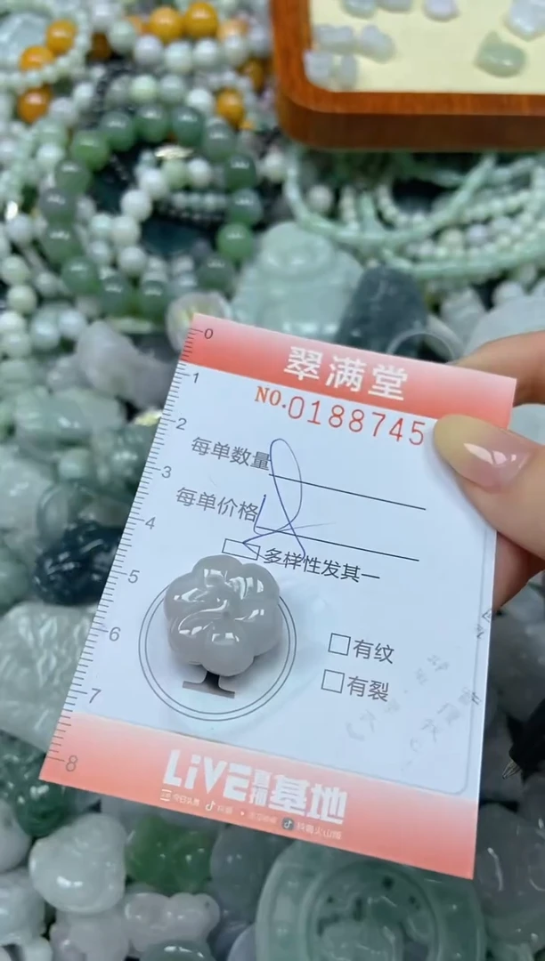 颈饰未镶嵌翡翠闪购0188745