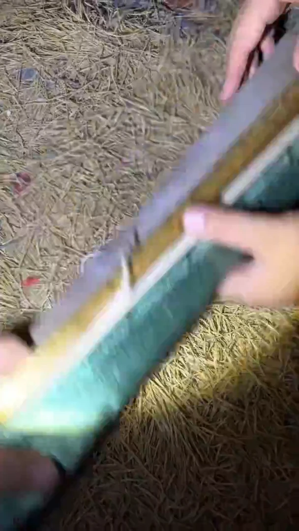 木木木木木木木木木木