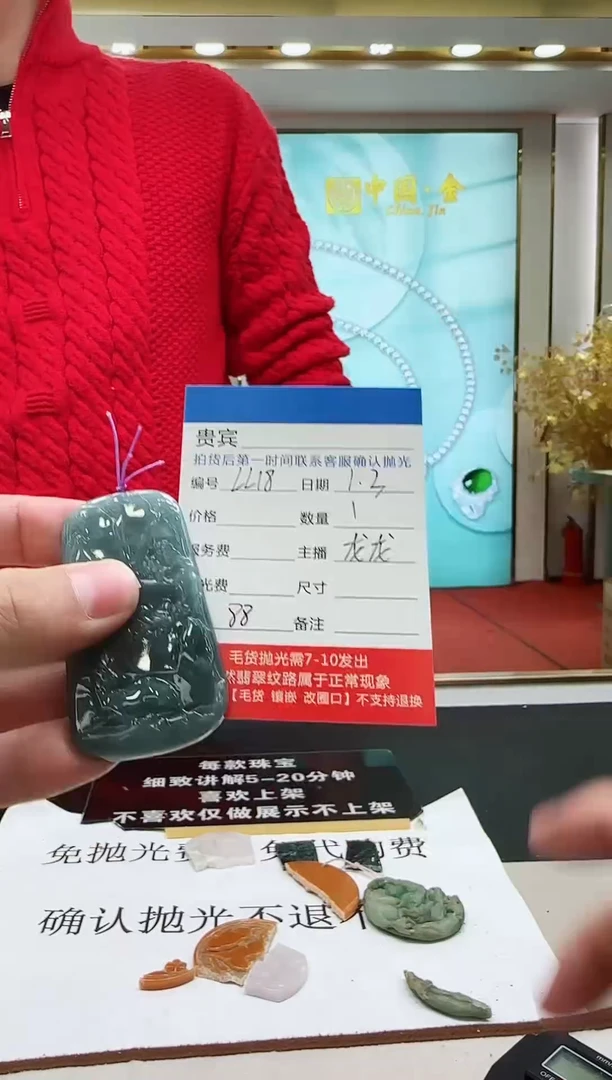 颈饰未镶嵌翡翠LL18翡翠吊坠-多样性发其一