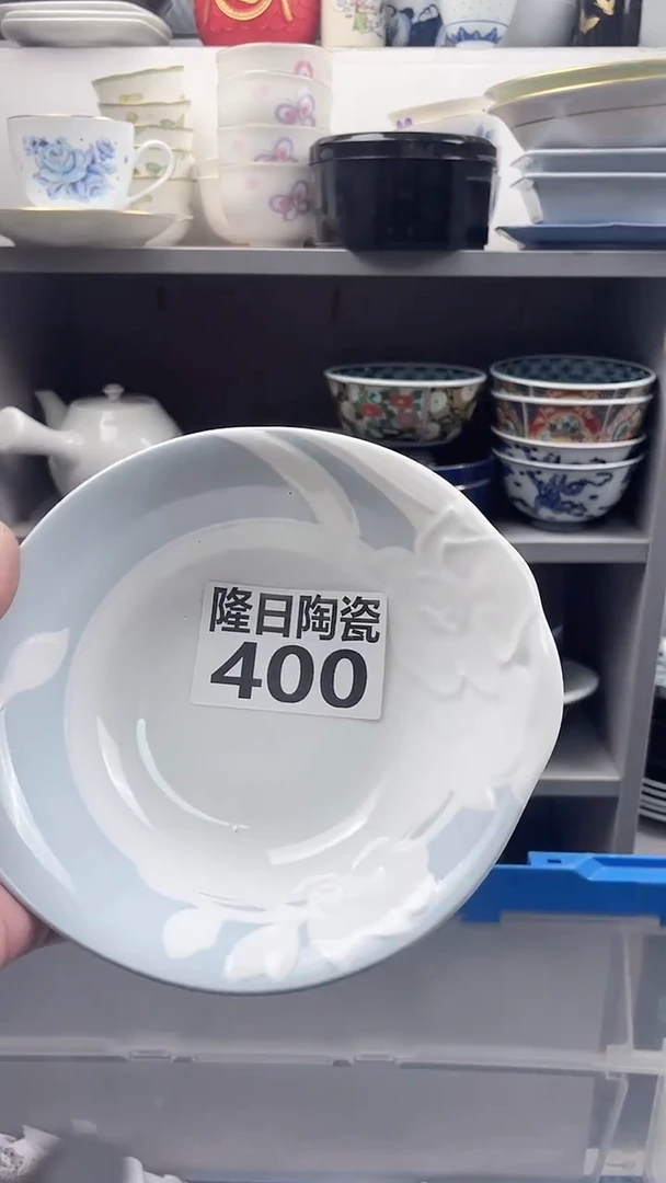 【闪购商品】瓷片longritaoci400