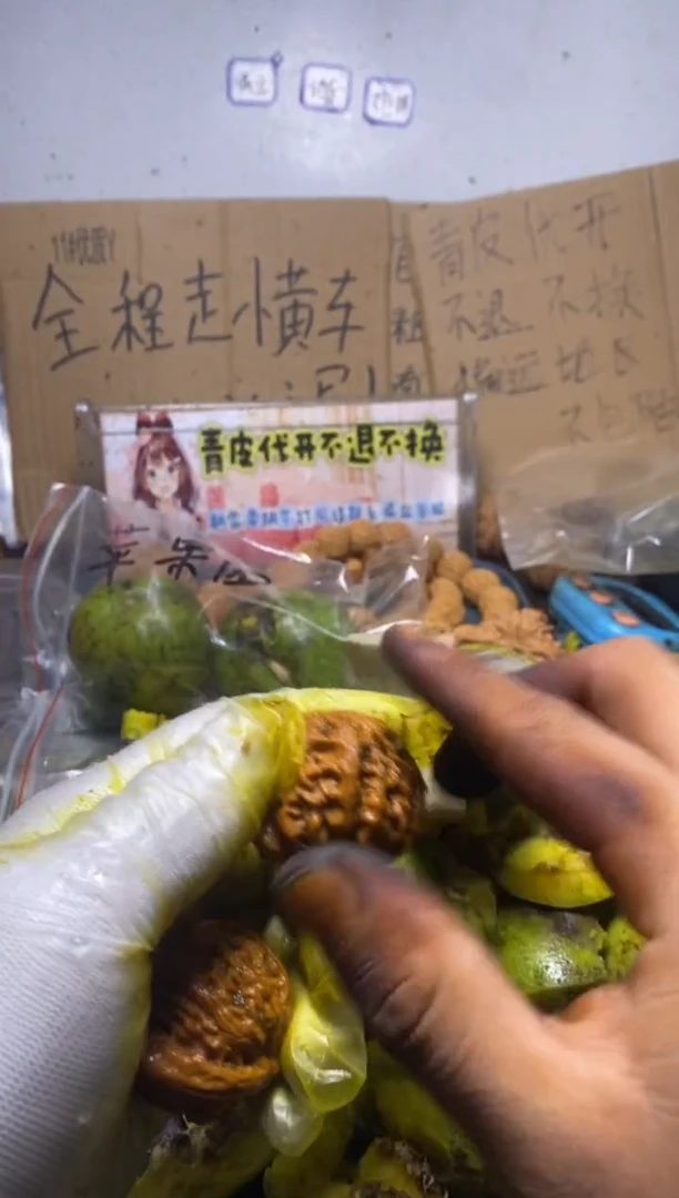 不退不换四座楼lyx55