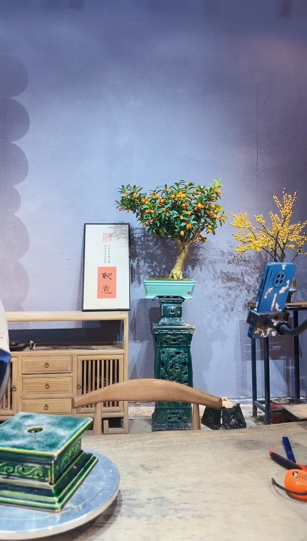 【闪购商品】盆景脆皮金桔