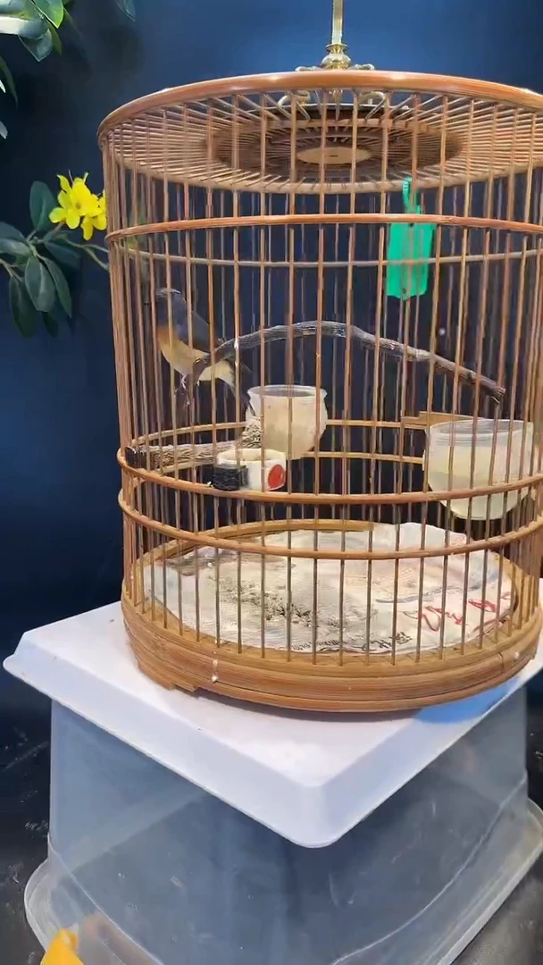 15号  山岚养笼  0元起拍