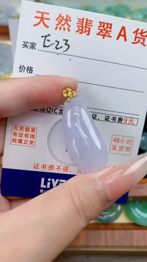 颈饰未镶嵌翡翠天然A货翡翠挂件