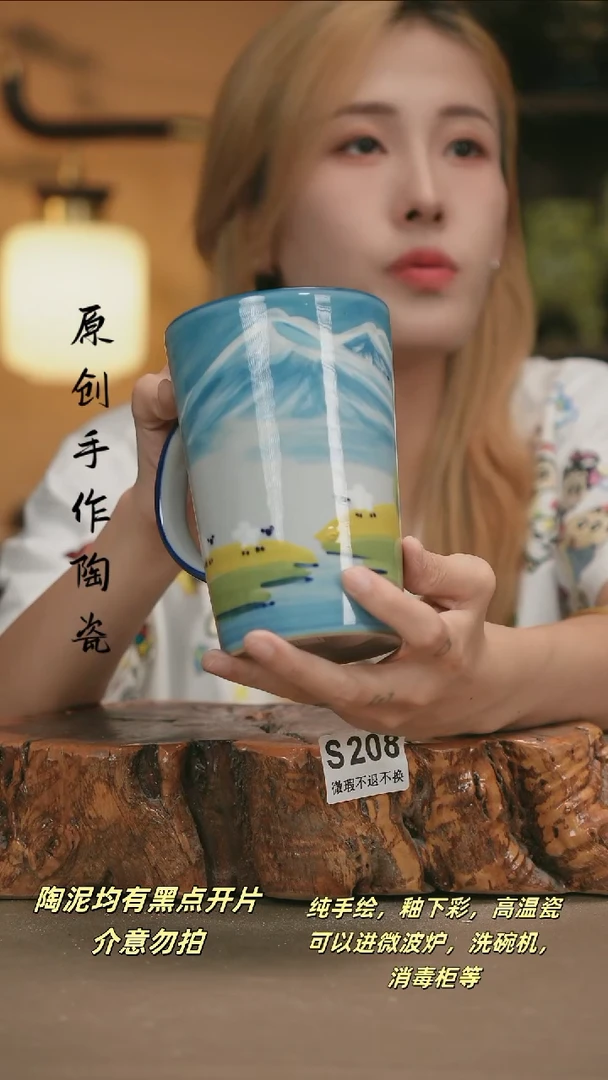 其他WS208新十二器陶瓷