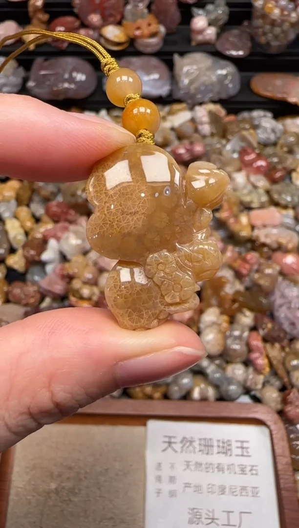 硅化珊瑚（珊瑚玉）未镶嵌颈饰617