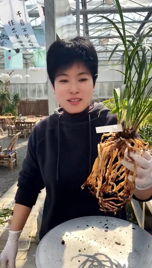 【闪购商品】老月佩，江渚渔樵