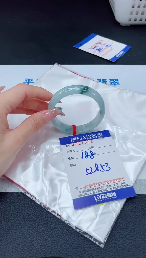 未镶嵌手镯翡翠11111111