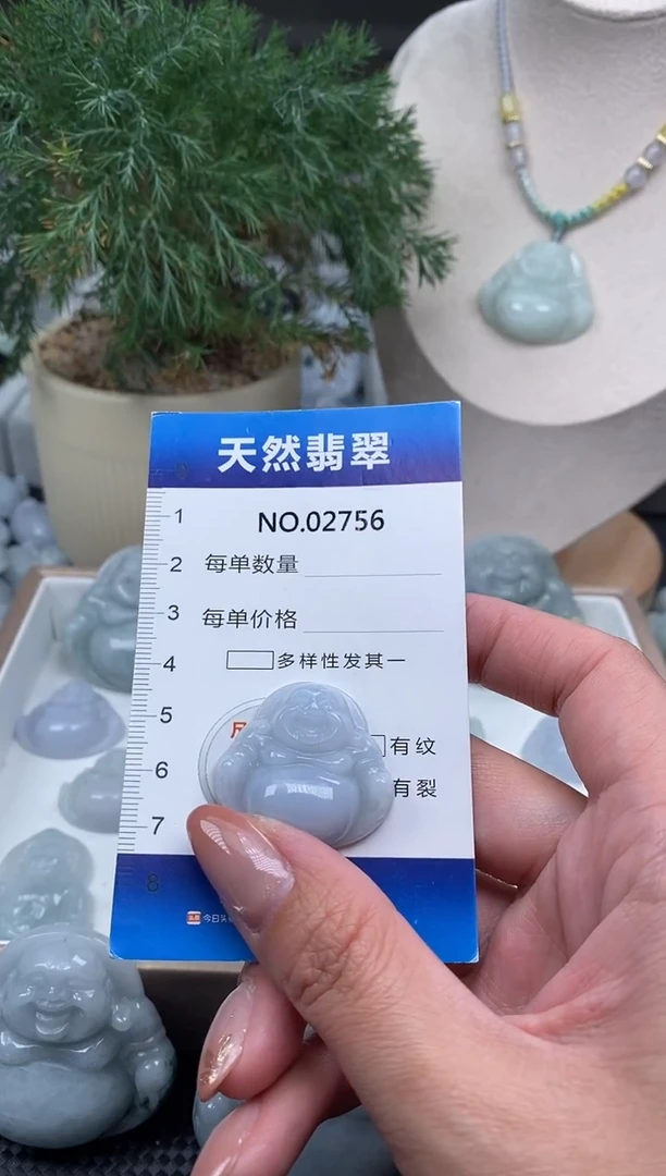 颈饰未镶嵌翡翠纯天然A货缅翡2756