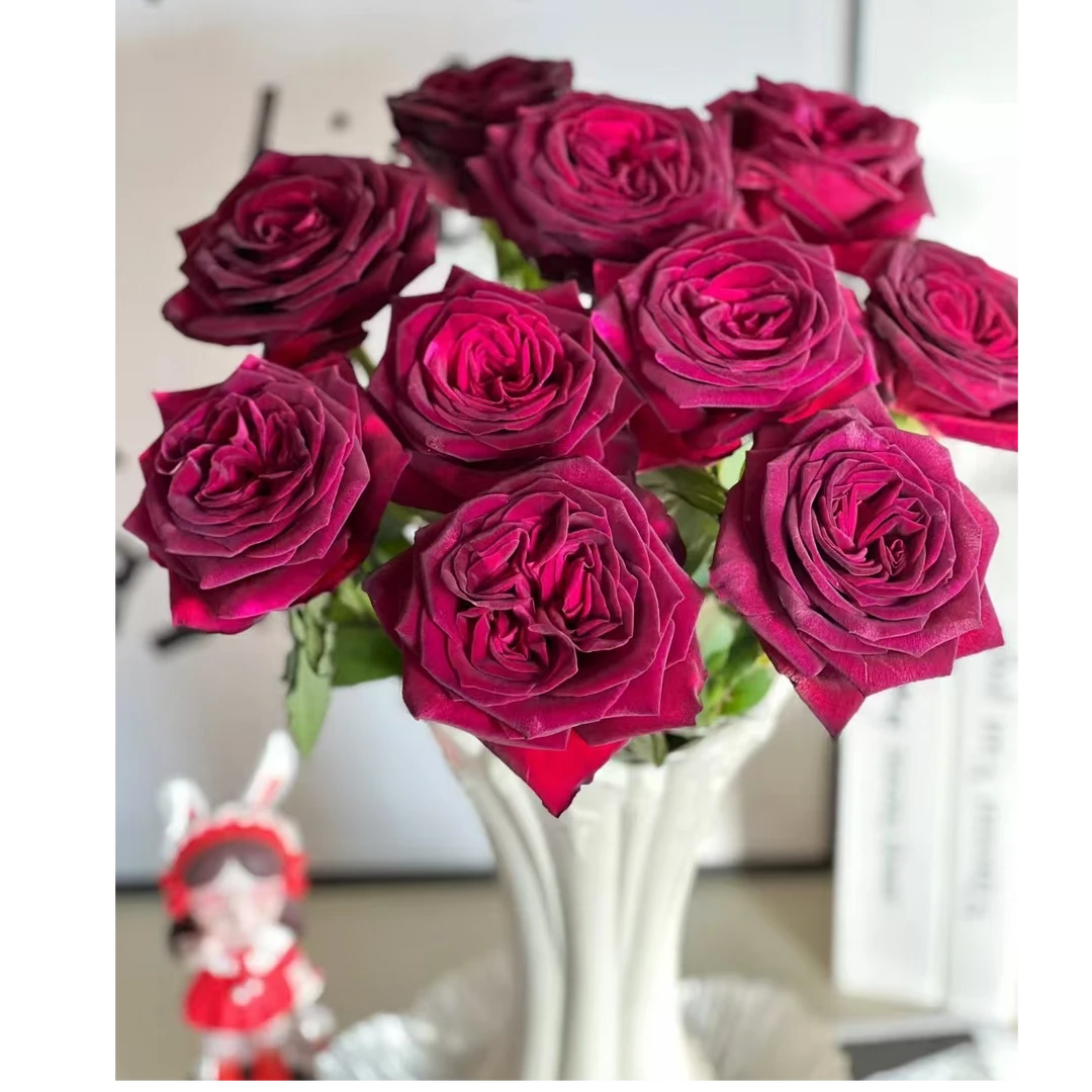 【暗香】玫瑰2单正价包邮，偏远地区有运费  云南鲜花基地直发