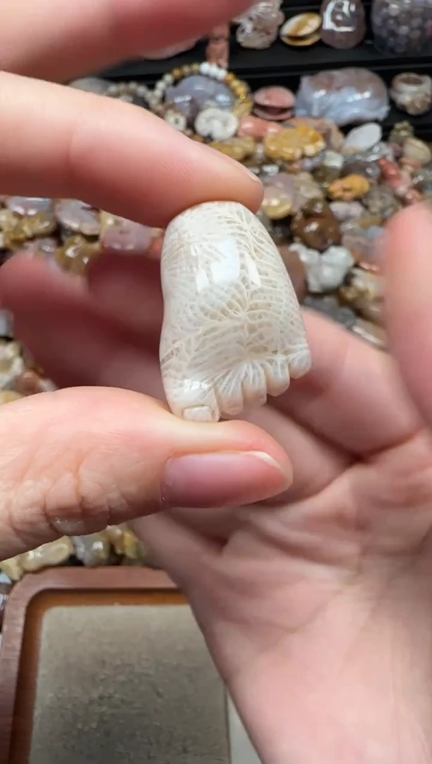 颈饰未镶嵌硅化珊瑚（珊瑚玉）253