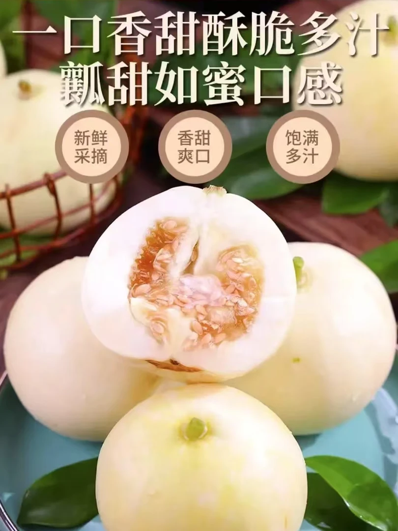 山东头茬小蜜蜂甜瓜新鲜直供自然成熟香甜脆爽蜜瓜香瓜蜜罐甜瓜