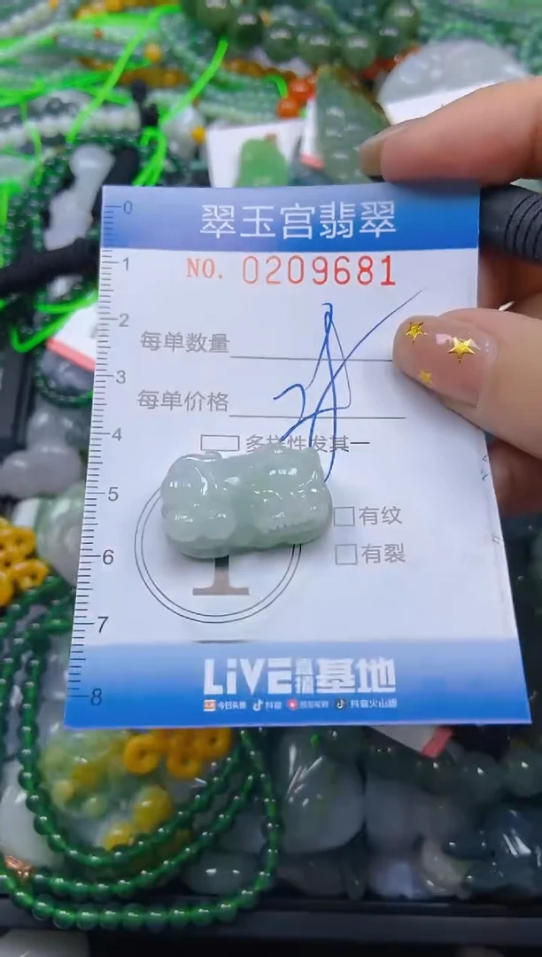 颈饰未镶嵌翡翠闪购C0209681