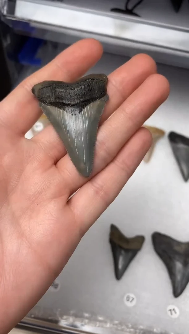 精美摆件创意礼物家居配饰新年礼物个人收藏