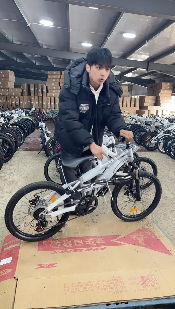 20寸-7速-银【默认微瑕，不退不换，介意勿拍】